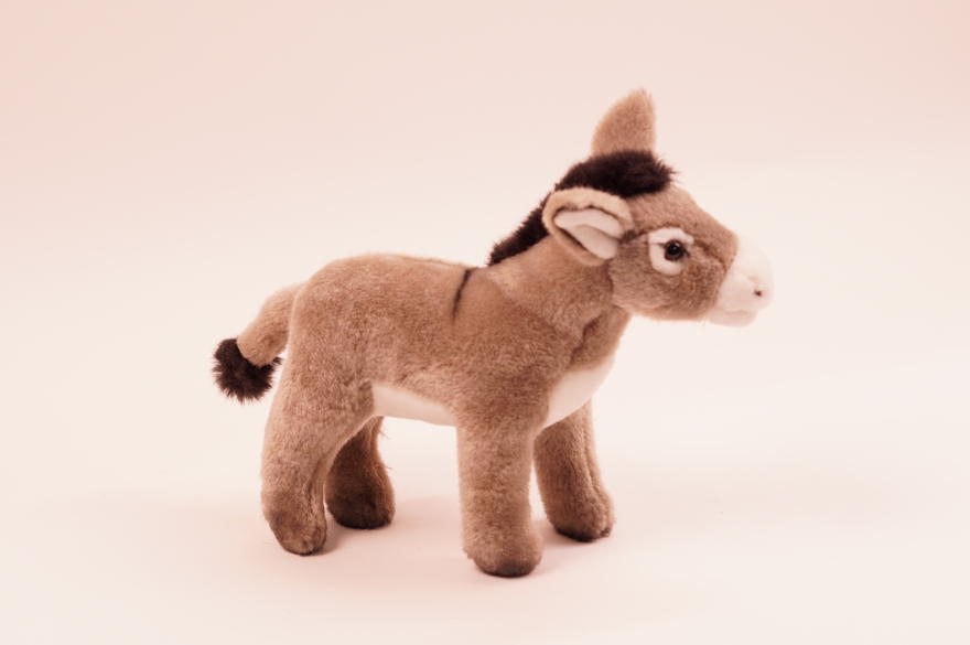Aasi 23cm