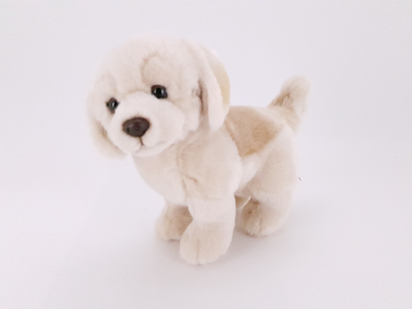 Koira kultainennoutaja 23cm 
