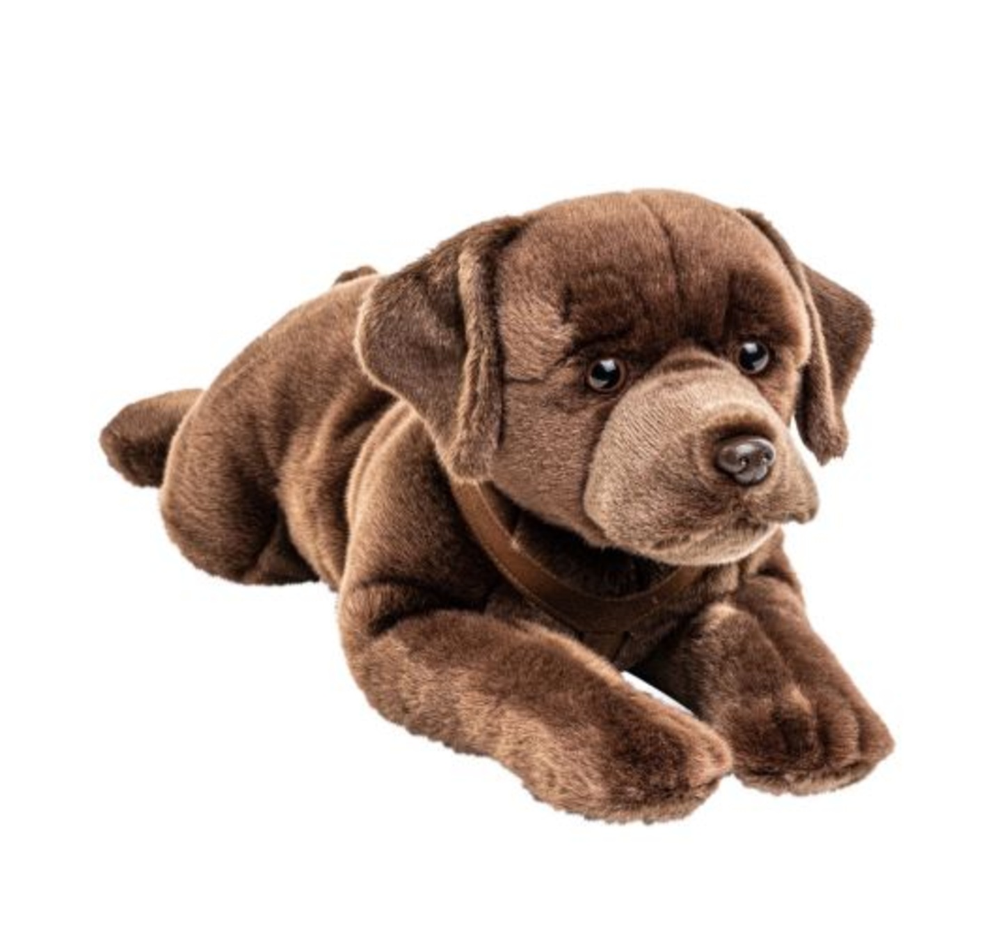 Labradorkoira Ruskea 60cm valj.