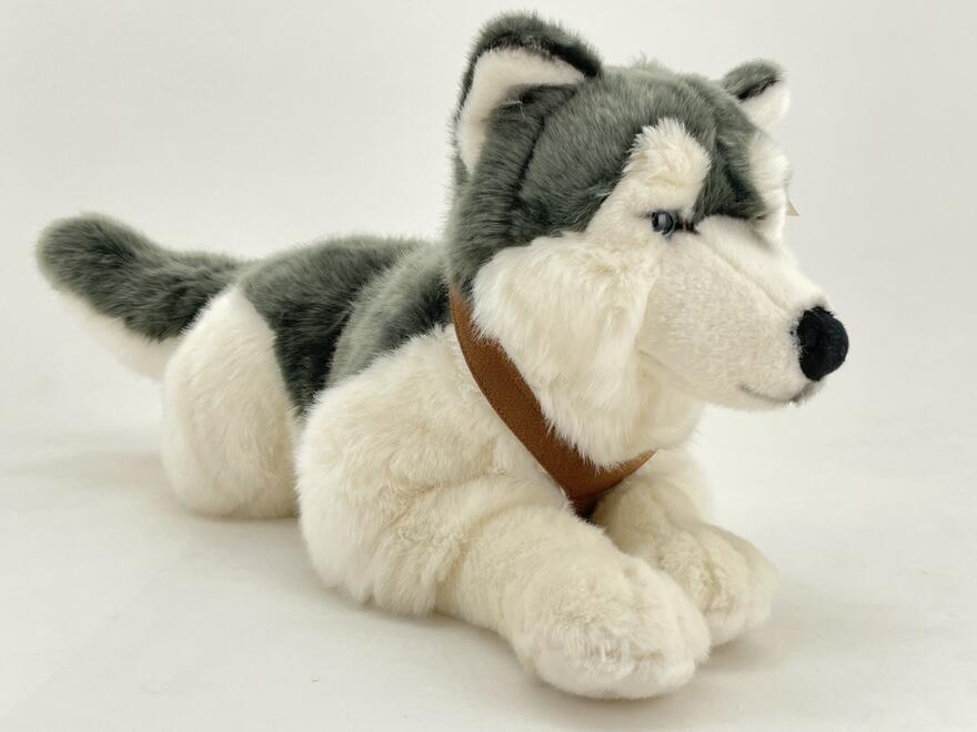 Husky 62cm valjailla