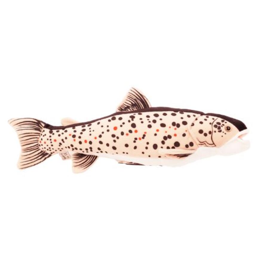 Kala Taimen Pieni 25cm Vivantti