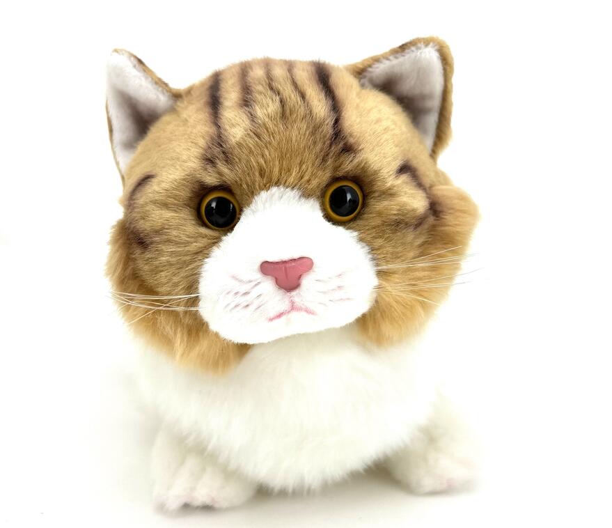 Kissa makaava ru/va 30cm