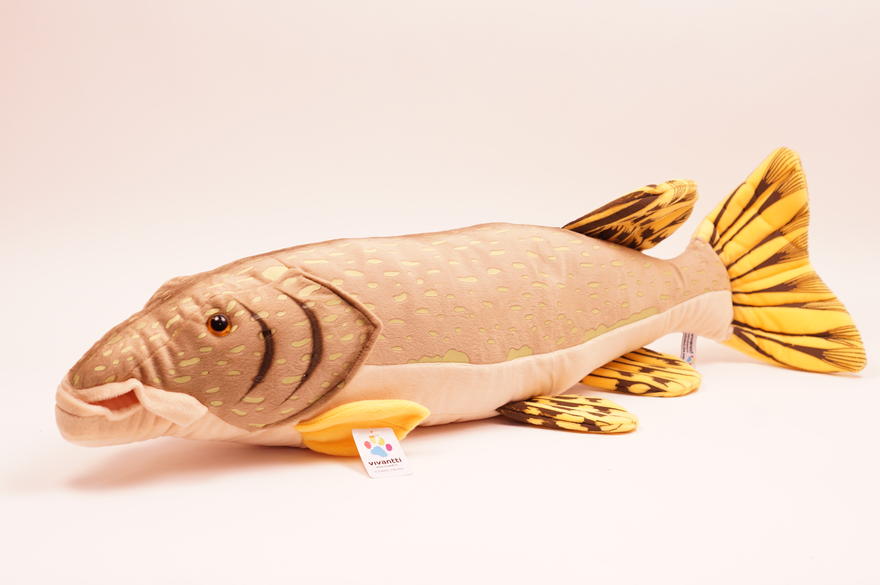 Kala J&auml;tti-Hauki 80cm
