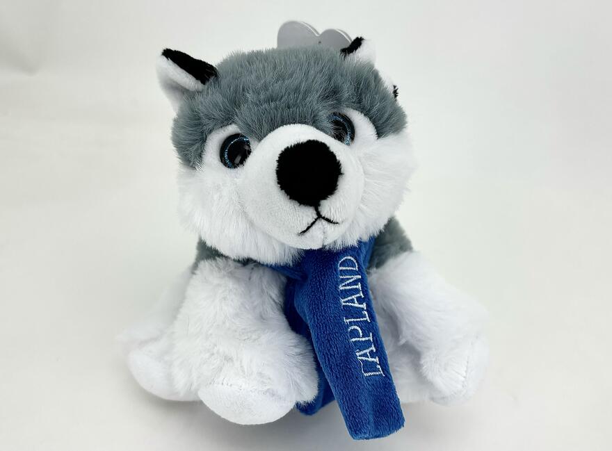 Husky 17cm LAPLAND ist. sin. huivi