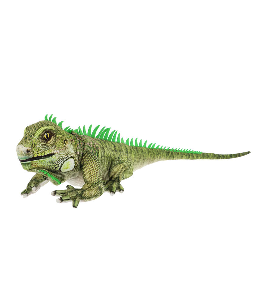 Iguaana 65cm Keeleco