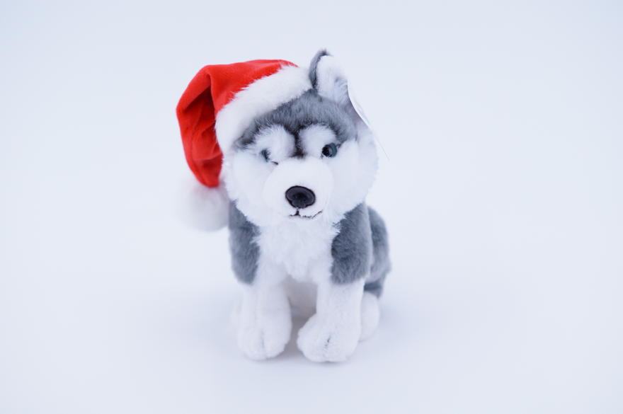 Husky istuva 20cm Tonttulakilla Vivantti