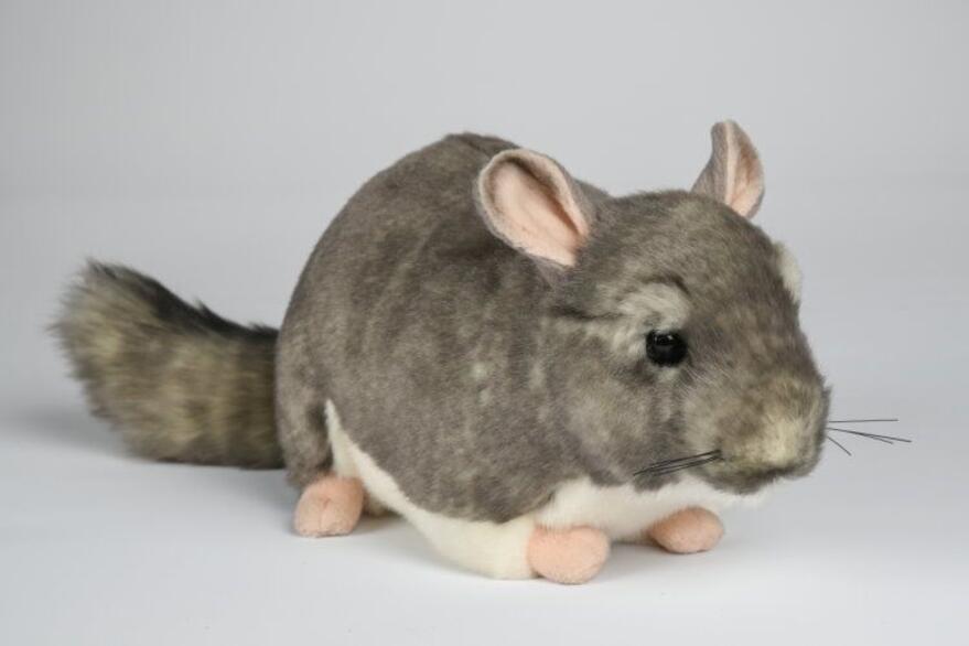 Chinchilla 22cm