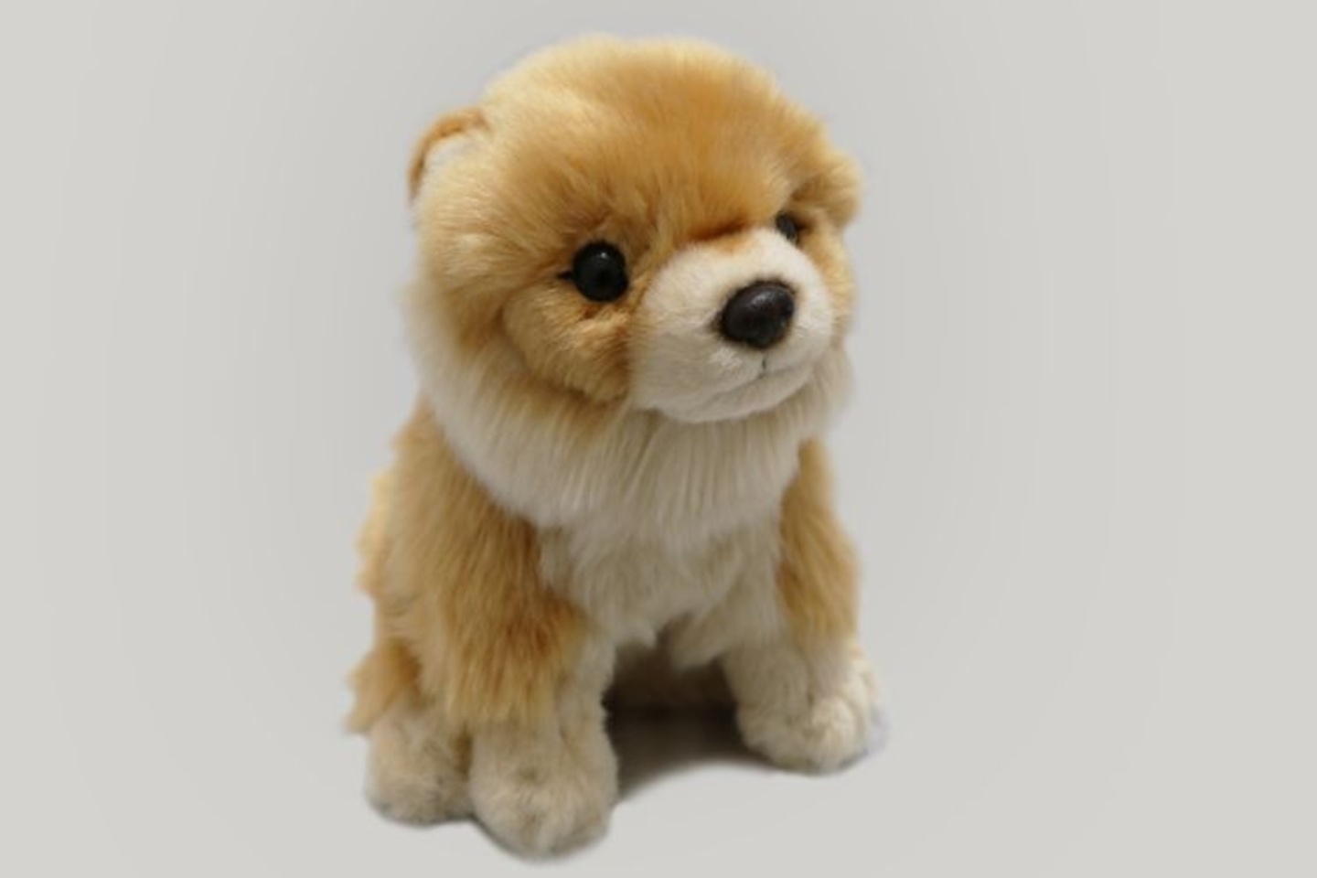 Koira Pomeranian 18cm